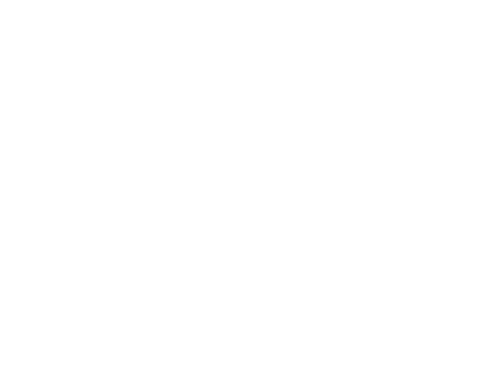 VDM Foris