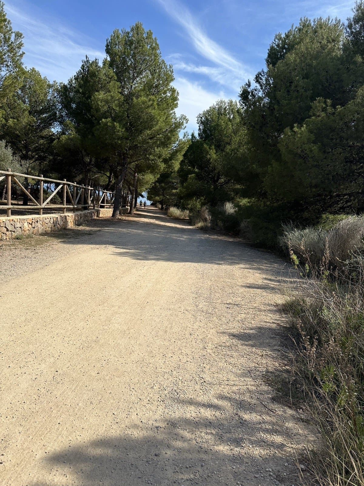 Dennenbospad aan de Spaanse kust — Sierra de Irta-natuurgebied
